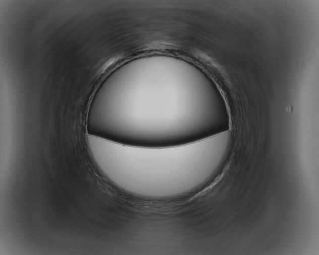 X0000086801313200704130852