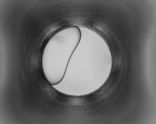 X0000086801314200704130852