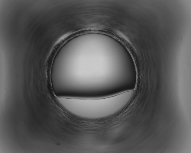 X0000086801315200704130852