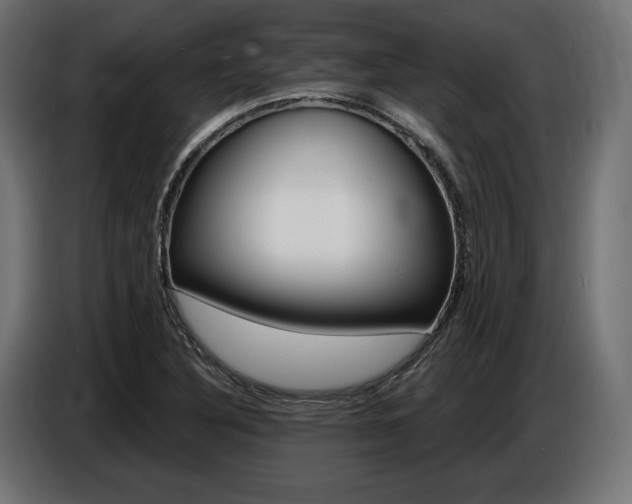 X0000086801316200704130852