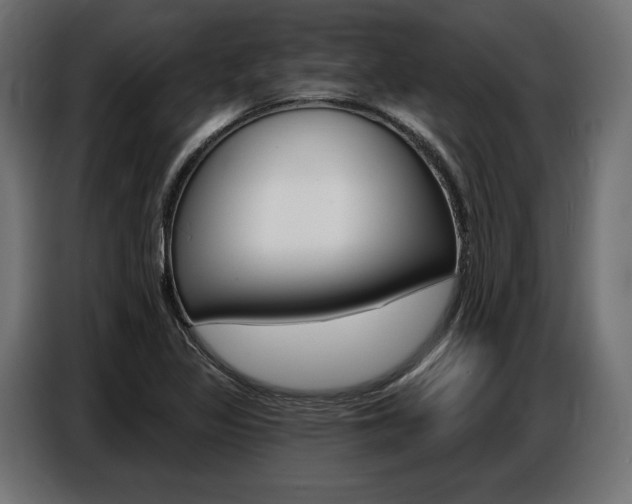 X0000086801317200704130852