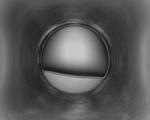 X0000086801318200704130852
