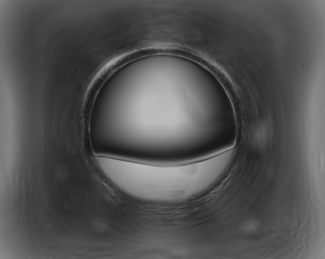 X0000086801319200704130852