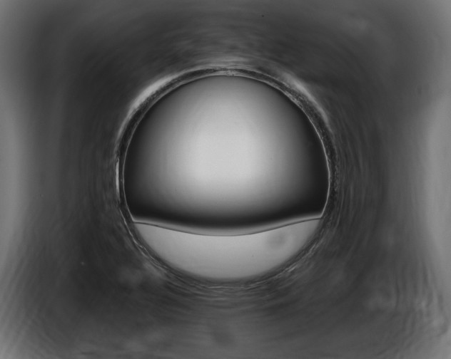 X0000086801320200704130852