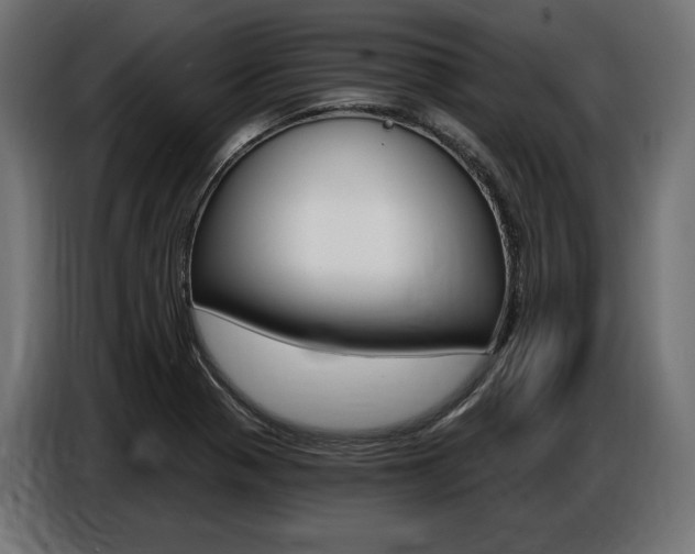 X0000086801321200704130852