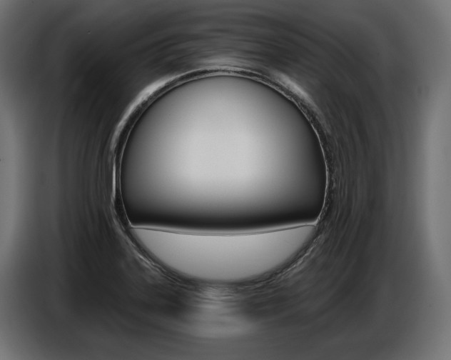 X0000086801323200704130852