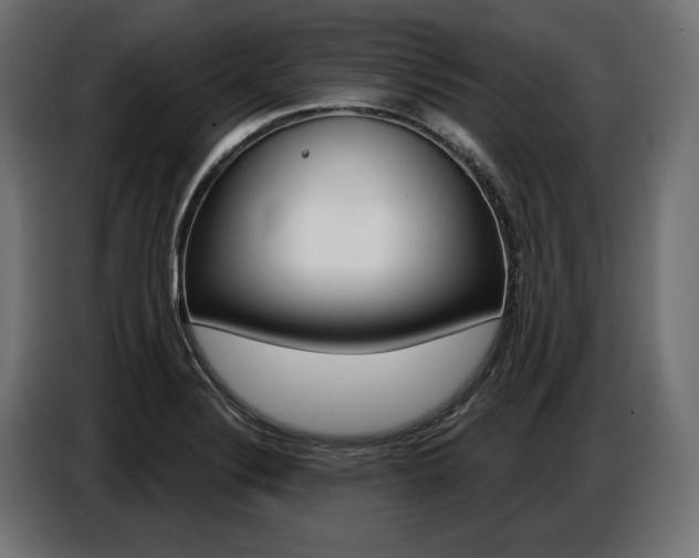 X0000086801324200704130852