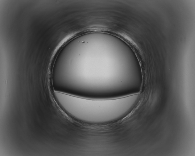 X0000086801325200704130852