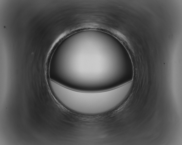X0000086801326200704130852