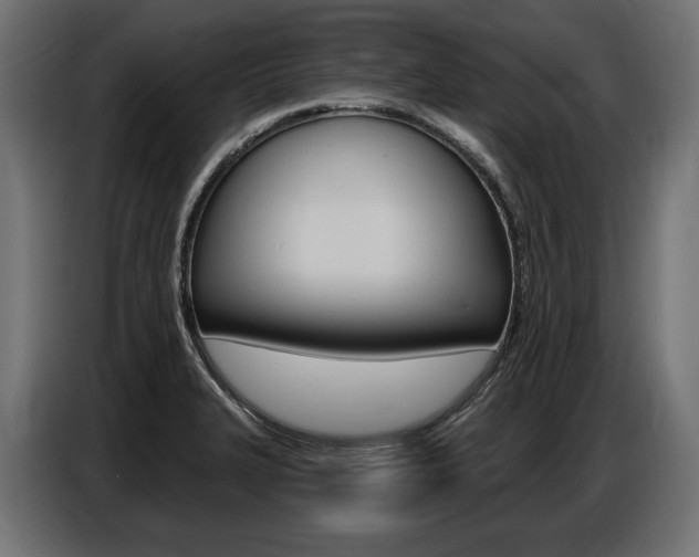 X0000086801327200704130852