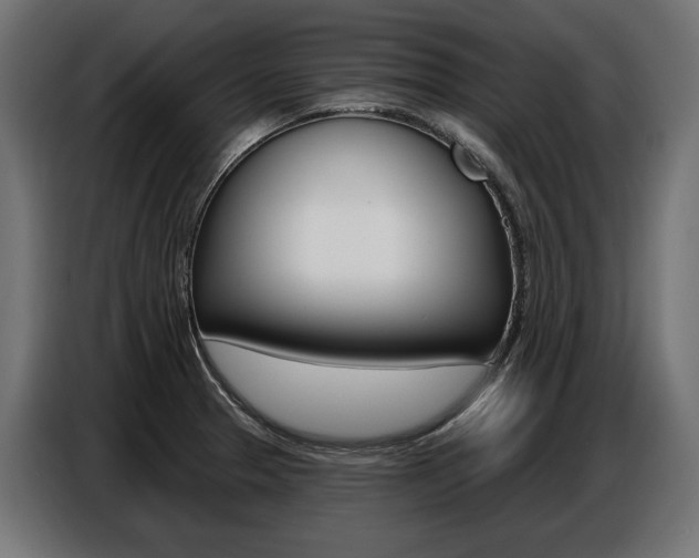 X0000086801329200704130852