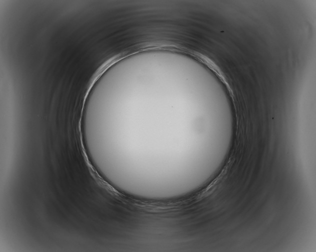 X0000086801330200704130852