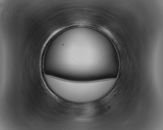 X0000086801331200704130852