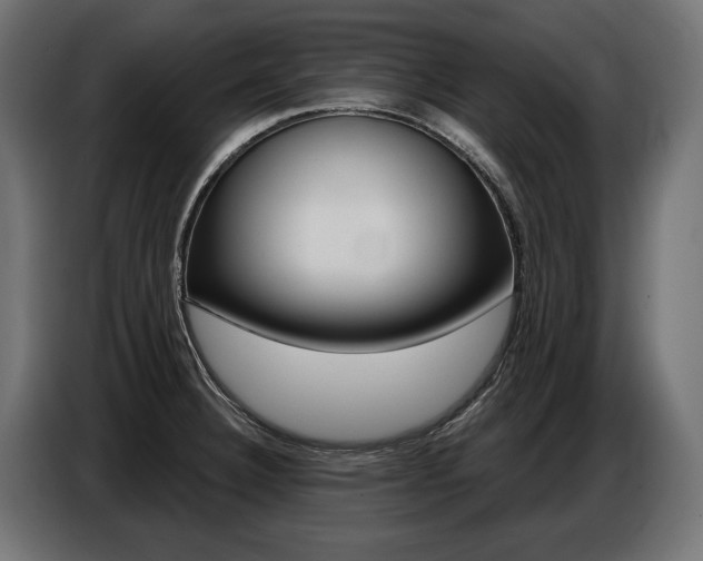 X0000086801332200704130852