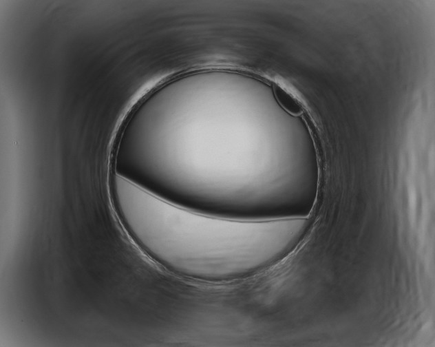 X0000086801333200704130852