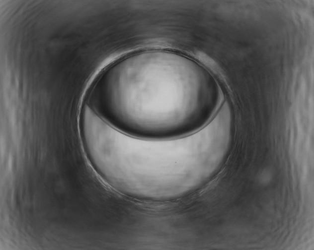 X0000086801334200704130852