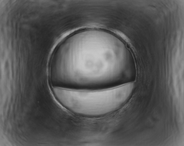 X0000086801335200704130852