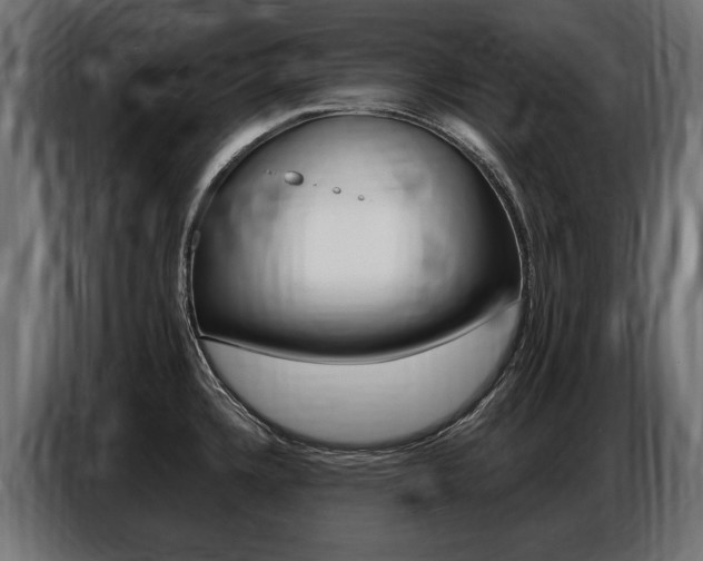 X0000086801336200704130852
