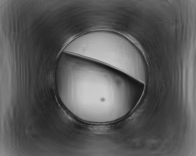 X0000086801337200704130852