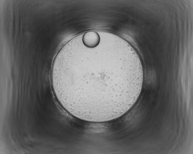 X0000086801338200704130852
