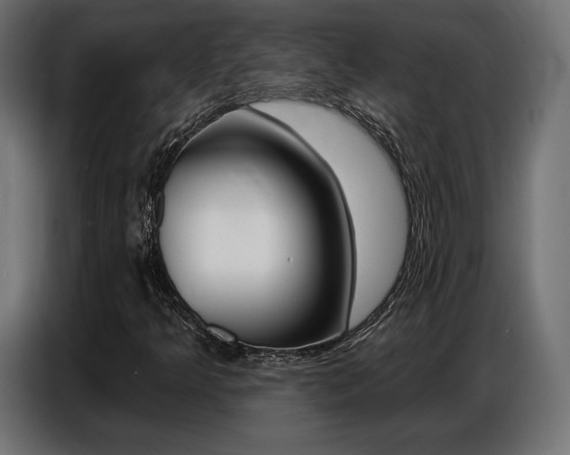 X0000086801349200704130851