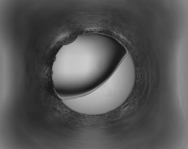 X0000086801351200704130851