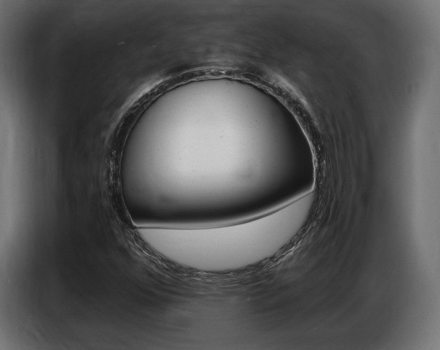 X0000086801352200704130851