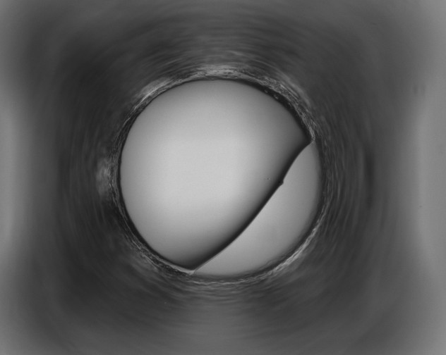 X0000086801353200704130851