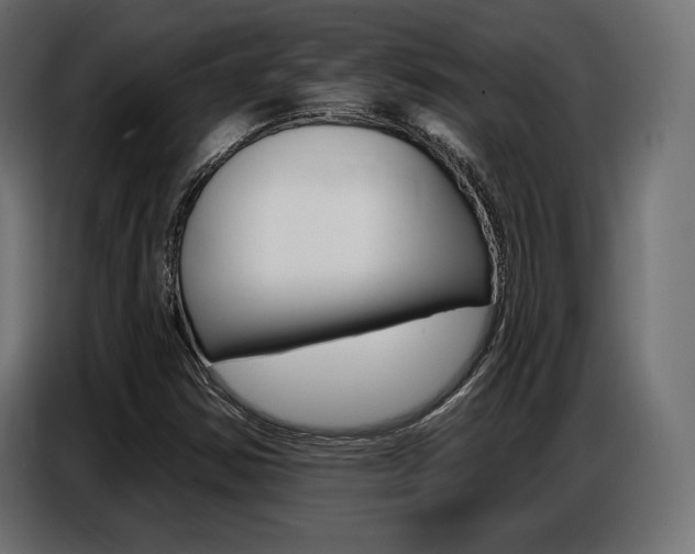 X0000086801354200704130851