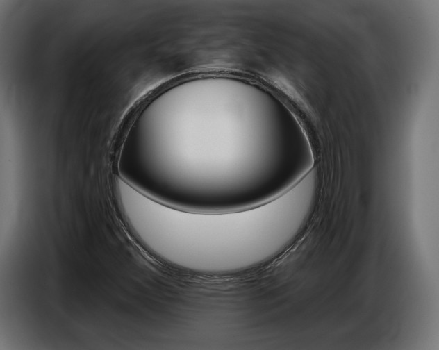 X0000086801356200704130851