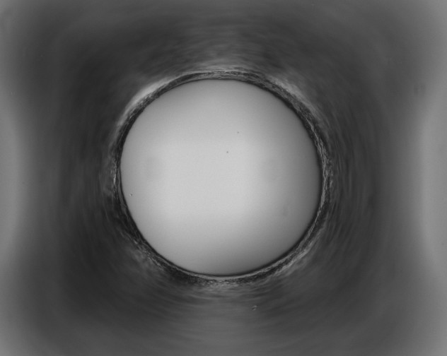 X0000086801358200704130851