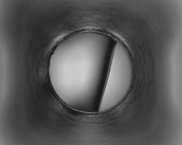 X0000086801359200704130851