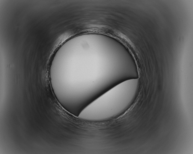 X0000086801362200704130851
