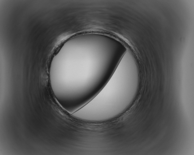 X0000086801363200704130851