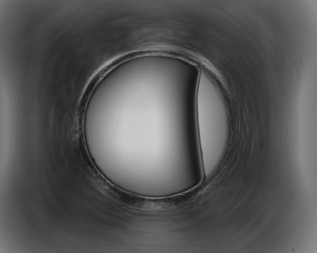 X0000086801364200704130851