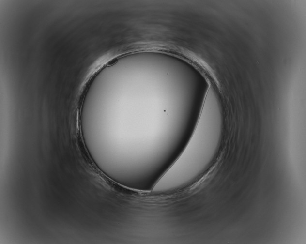 X0000086801365200704130851