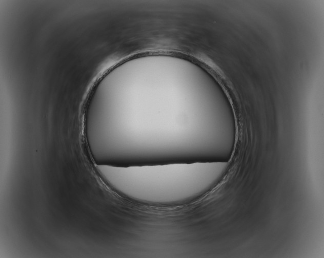 X0000086801366200704130851