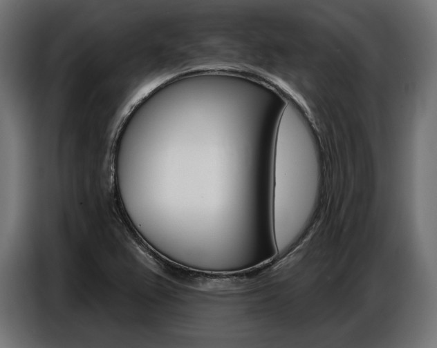 X0000086801367200704130851