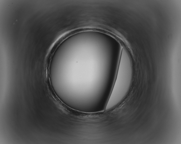X0000086801368200704130851