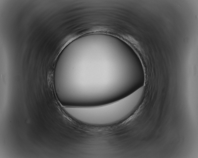 X0000086801369200704130851