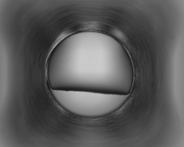 X0000086801370200704130851