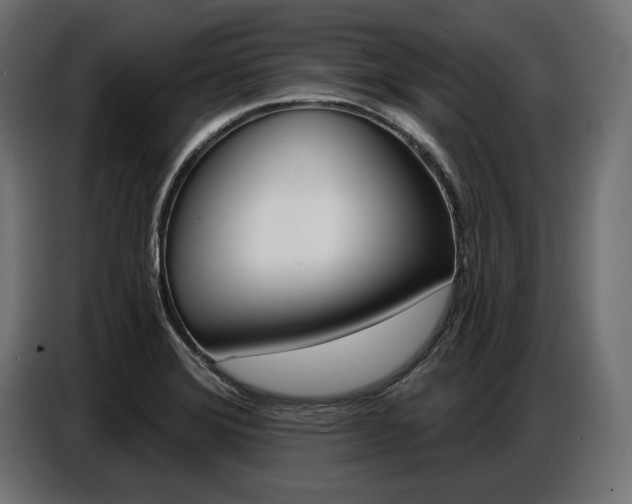 X0000086801372200704130851