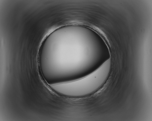 X0000086801373200704130851