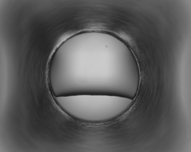 X0000086801374200704130851