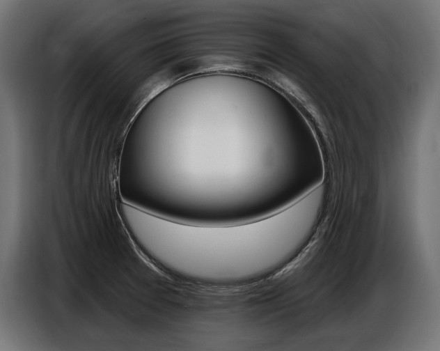 X0000086801377200704130851