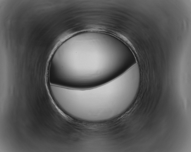 X0000086801379200704130851
