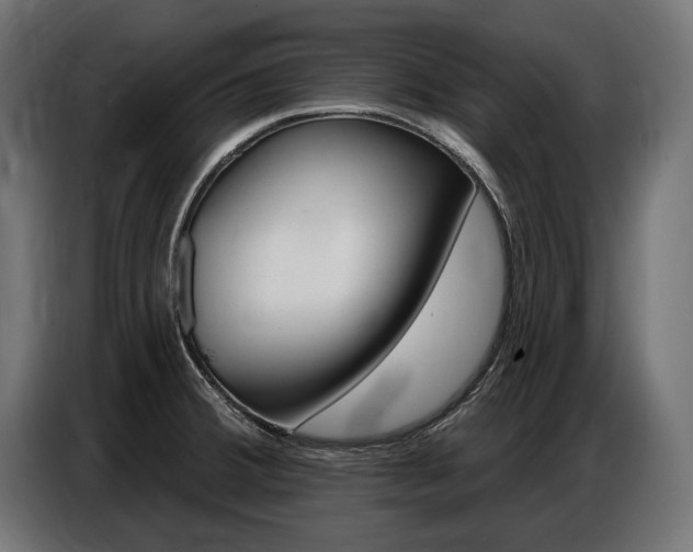 X0000086801380200704130851