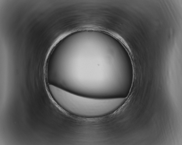 X0000086801381200704130851