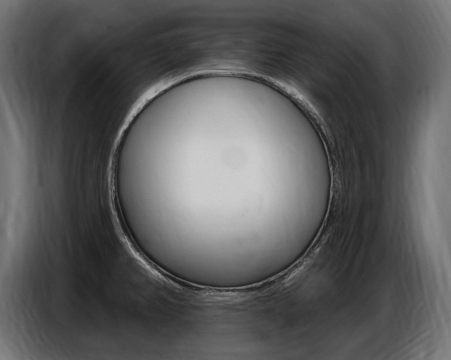X0000086801382200704130851