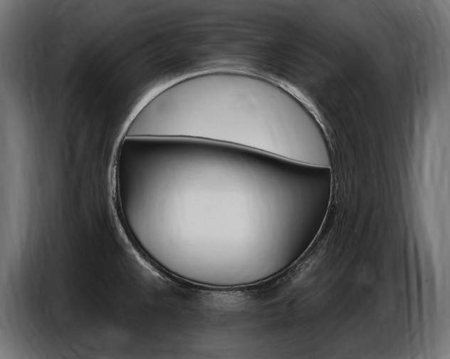 X0000086801383200704130851
